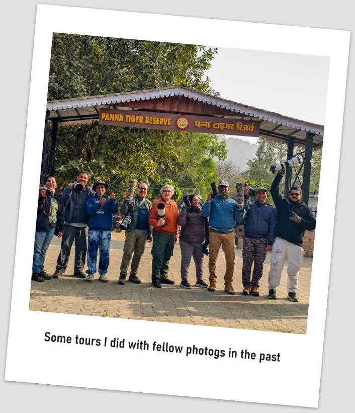A tour with fellow photographers at Panna Tiger Reserve