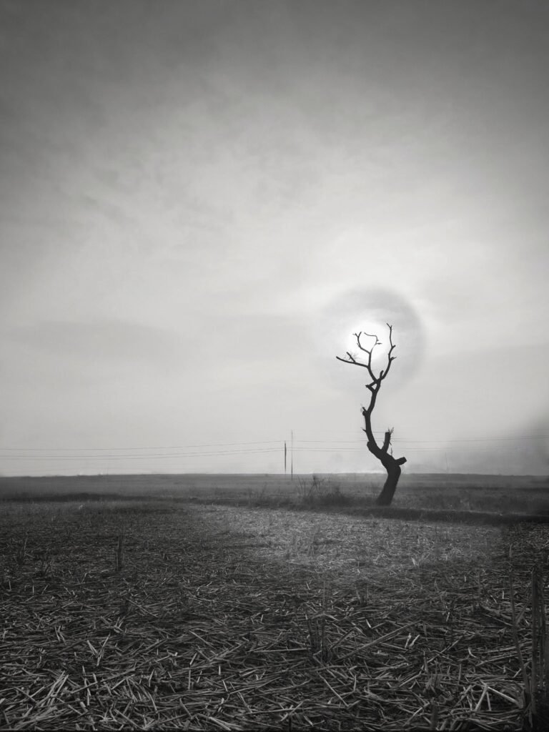 August Photography Competition