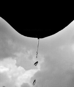 The Water drop